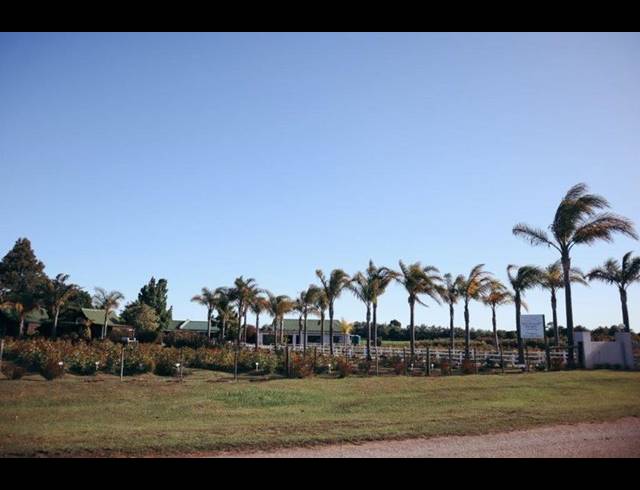 FARM FOR SALE IN TSITSIKAMMA